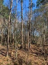 27833 Fm 2090 Road Splendora TX 77372