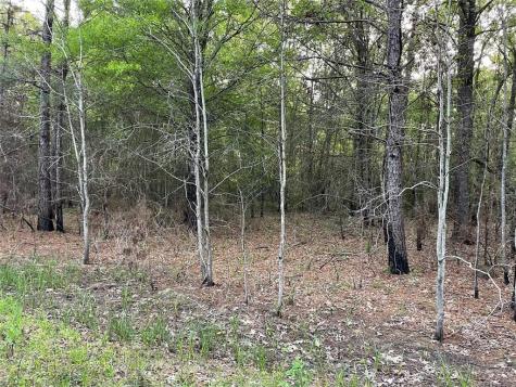 Lot 430 Parkpine Street Livingston TX 77351