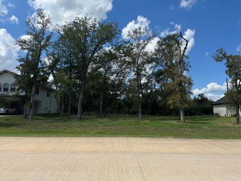 818 Royal Lakes Manor Boulevard Richmond TX 77469