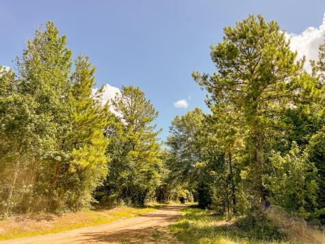 000 Creek 367/cr 368 Zavalla TX 75980