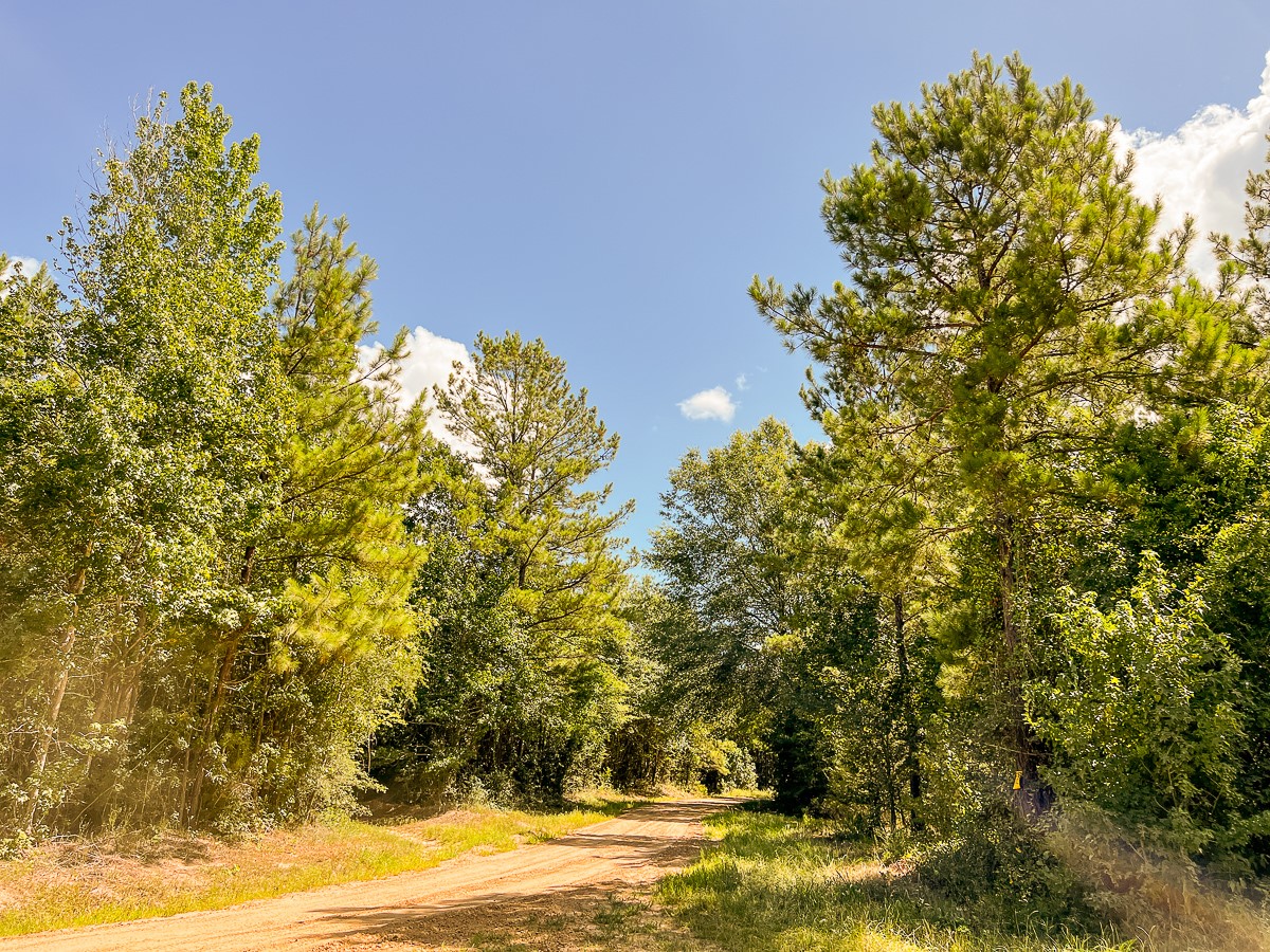 000 Creek 367/cr 368 Zavalla TX 75980