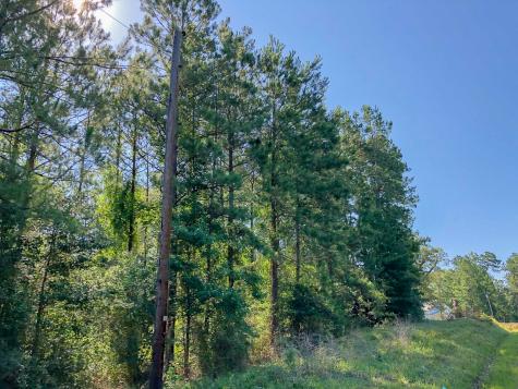 000 Creek 367/cr 368 Zavalla TX 75980