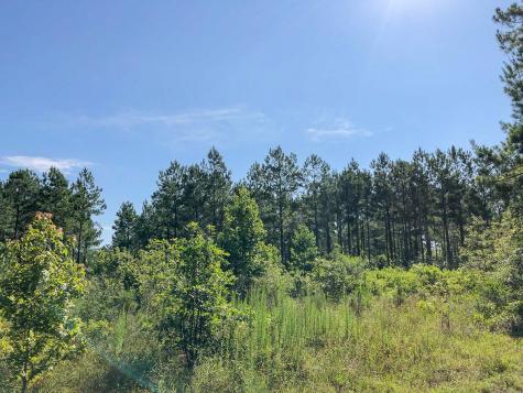 000 Creek 367/cr 368 Zavalla TX 75980