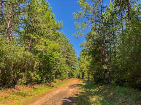 000 Creek 367/cr 368 Zavalla TX 75980