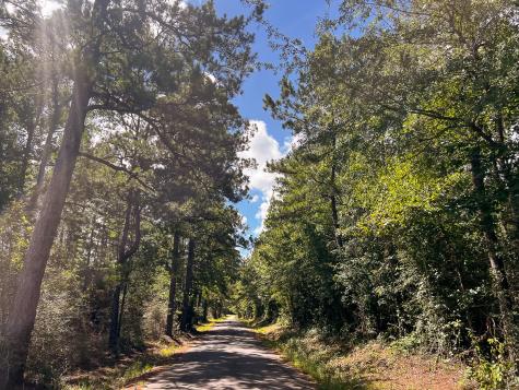 000 Creek 367/cr 368 Zavalla TX 75980