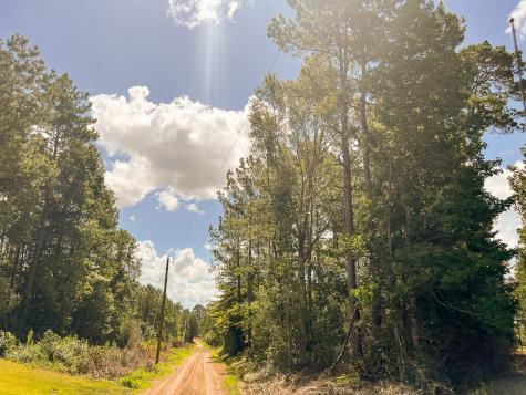000 Creek 367/cr 368 Zavalla TX 75980
