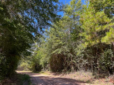 000 Creek 367/cr 368 Zavalla TX 75980
