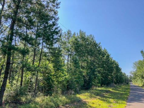 000 Creek 367/cr 368 Zavalla TX 75980