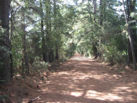00 State Highway 21 East Crockett TX 75835
