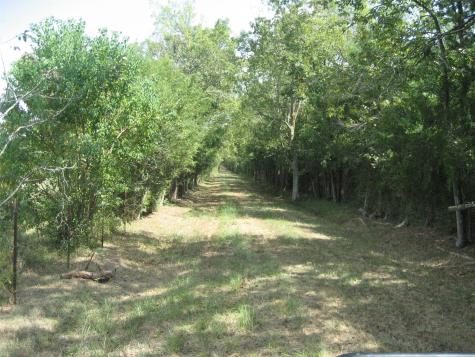 00 State Highway 21 East Crockett TX 75835