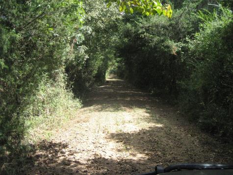 00 State Highway 21 East Crockett TX 75835