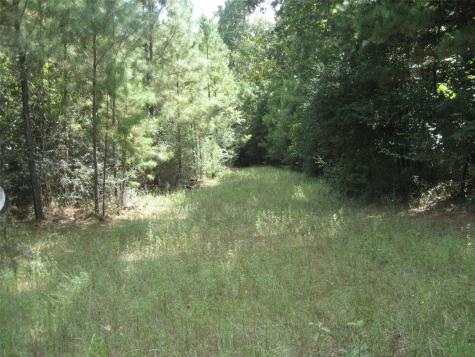 00 State Highway 21 East Crockett TX 75835