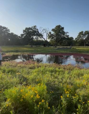 4 Acres County Road 190 Road Anderson TX 77830