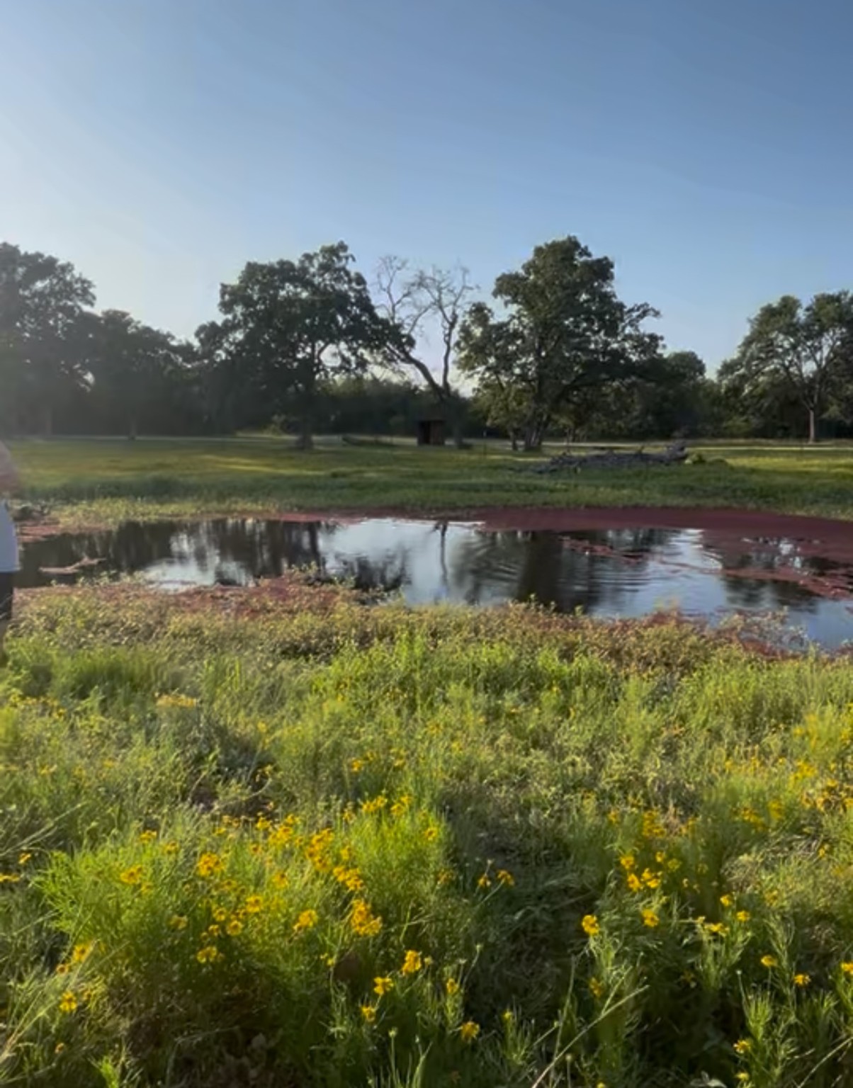 4 Acres County Road 190 Road Anderson TX 77830