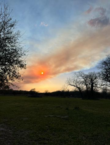 4 Acres County Road 190 Road Anderson TX 77830