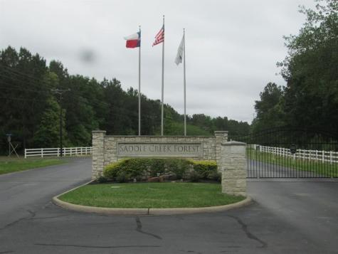 8103 Buck Skin Lane Waller TX 77484