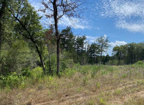 Tbd High Crossing Road Tract 8 Smithville TX 78957