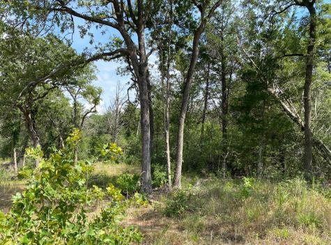 Tbd High Crossing Road Tract 8 Smithville TX 78957