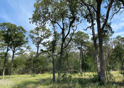 Tbd High Crossing Road Tract 8 Smithville TX 78957