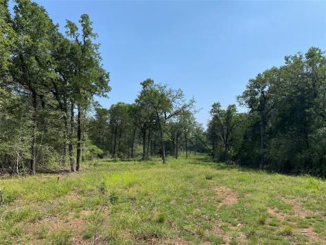 Tbd High Crossing Road Tract 8 Smithville TX 78957