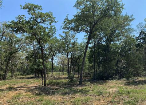Tbd High Crossing Road Tract 8 Smithville TX 78957
