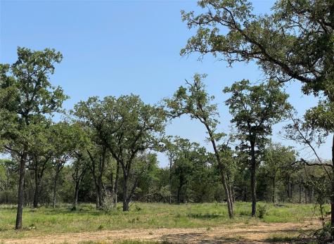 Tbd High Crossing Road Tract 8 Smithville TX 78957