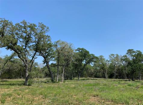 Tbd High Crossing Road Tract 8 Smithville TX 78957