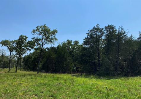 Tbd High Crossing Road Tract 8 Smithville TX 78957