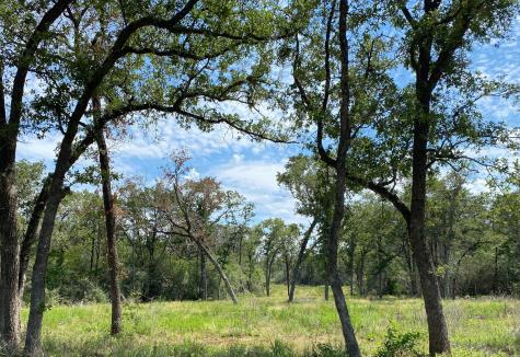 Tbd High Crossing Road Tract 8 Smithville TX 78957