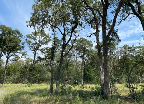 Tbd High Crossing Road Tract 8 Smithville TX 78957