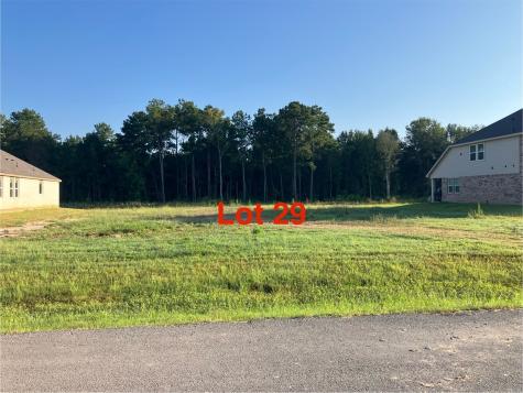 1040 Tarkington Timbers Drive Cleveland TX 77327