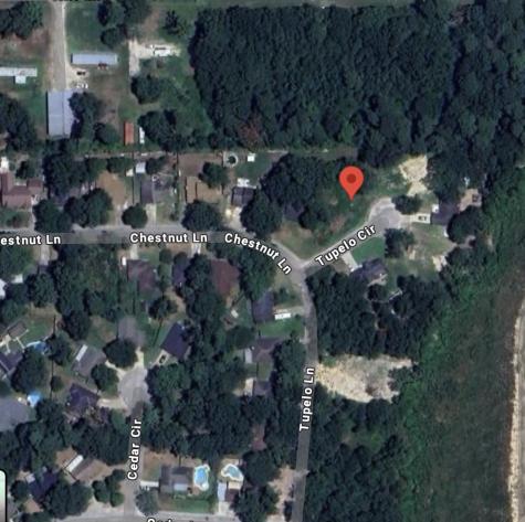 25785 Tupelo Circle Splendora TX 77372