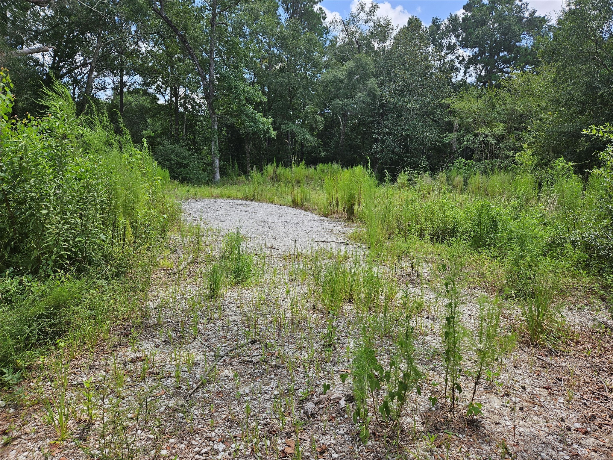 371 County Road 3890 Cleveland TX 77328