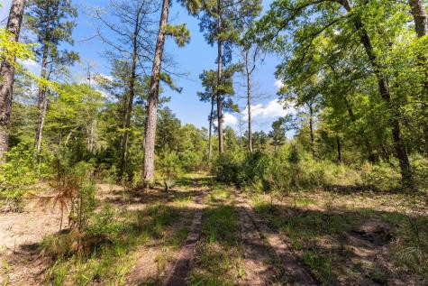 2A Sundog Road Huntsville TX 77340