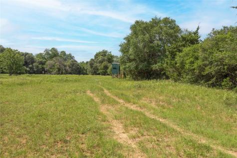 Tbd Cr 212 - Tract 6 Hallettsville TX 77964