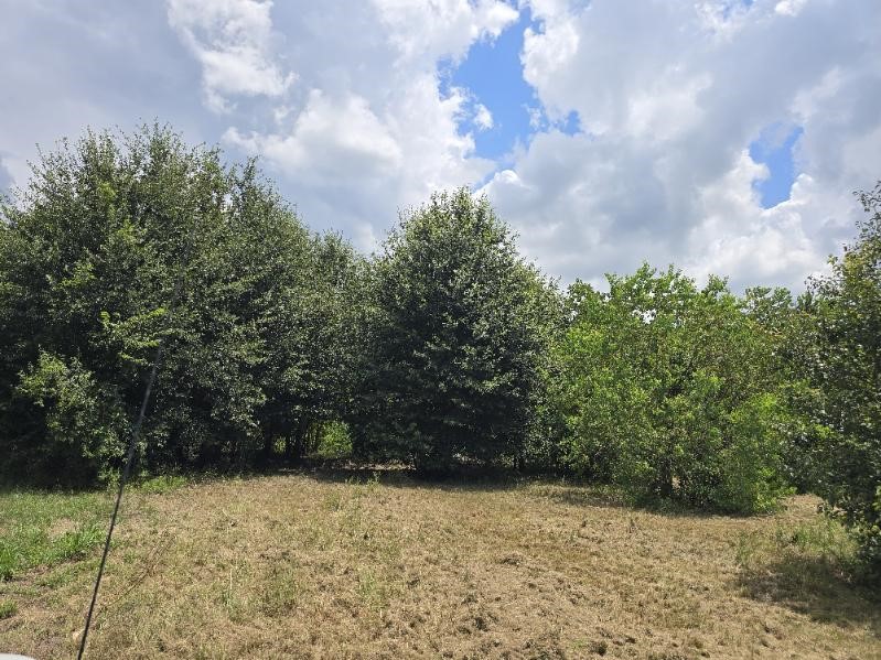 20736 Pearl Street Prairie View TX 77484