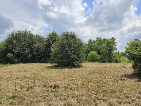 20736 Pearl Street Prairie View TX 77484