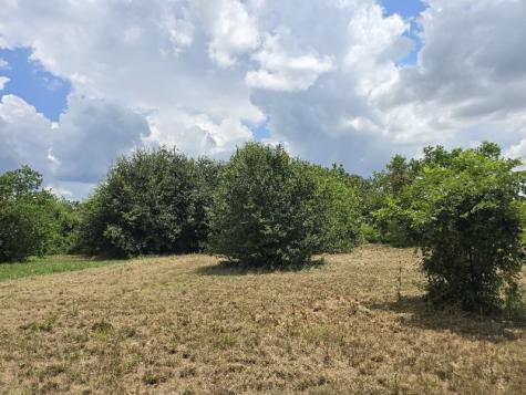 20736 Pearl Street Prairie View TX 77484