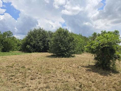 20736 Pearl Street Prairie View TX 77484