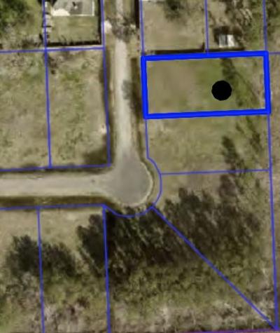 Lot 179 Indigo Way Porter TX 77365