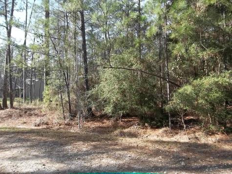 0 Dagger Drive Brookeland TX 75931
