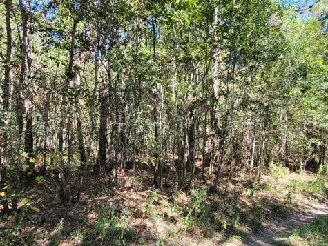 10785 Fm-2518 Cleveland TX 77327