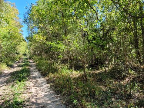 10785 Fm-2518 Cleveland TX 77327