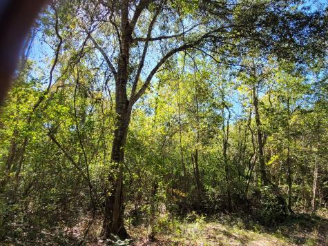 10785 Fm-2518 Cleveland TX 77327