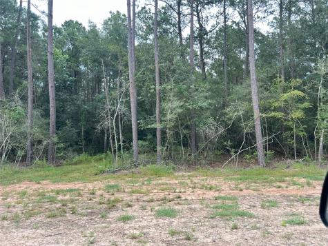 0000 Evergreen Lot 2 Fm 362 Road Waller TX 77484