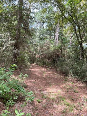 0000 Evergreen Lot 2 Fm 362 Road Waller TX 77484