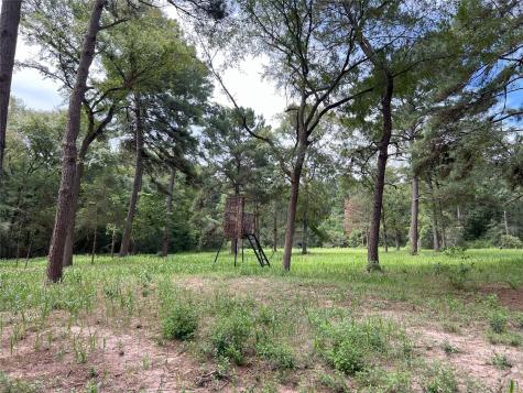 0000 Evergreen Lot 2 Fm 362 Road Waller TX 77484
