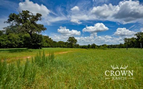 Tbd Fm 908 - 657 Acres Caldwell TX 77836