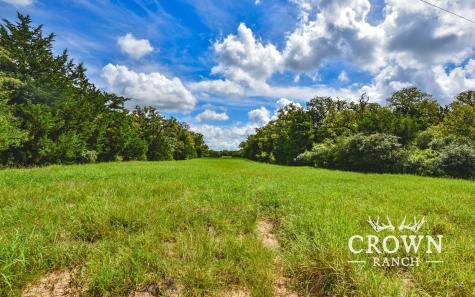 TBD Fm 908 - 657 Acres Caldwell TX 77836