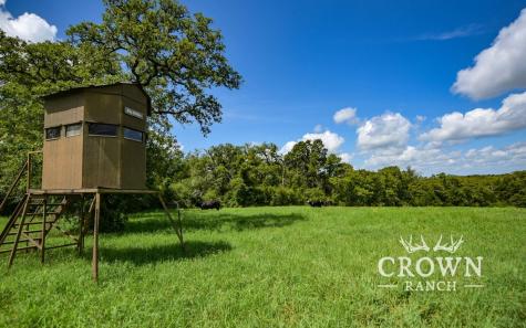 Tbd Fm 908 - 657 Acres Caldwell TX 77836